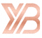 B-sports·必一体育官方网站Logo - 活力荧光绿与深蓝结合的盾形标志
