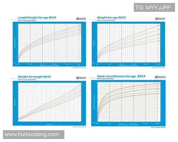 帕德伯恩对汉堡比赛结果解读0比2的含义与影响分析